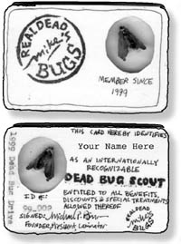 Dead Bug Scout card